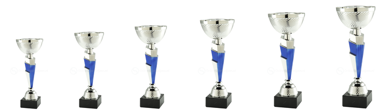 Trofee Den Haag - ET.458.04 - Zilver / Blauw