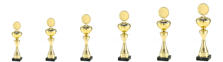 Trofee Den Helder - MT.144.01 - Goud