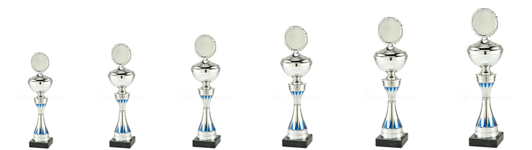 Trofee Doetinchem - MT.144.04 - Zilver / Blauw
