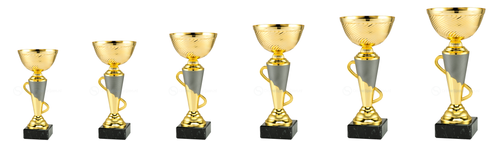 Trofee Emmen - ET.447 - Goud / Mat zilver