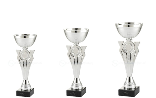 Trofee Enter - ET.491.02 - Zilver