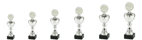 Trofee Genk - MT.138.02 - Zilver