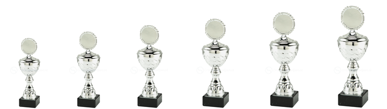 Trofee Genk - MT.138.02 - Zilver