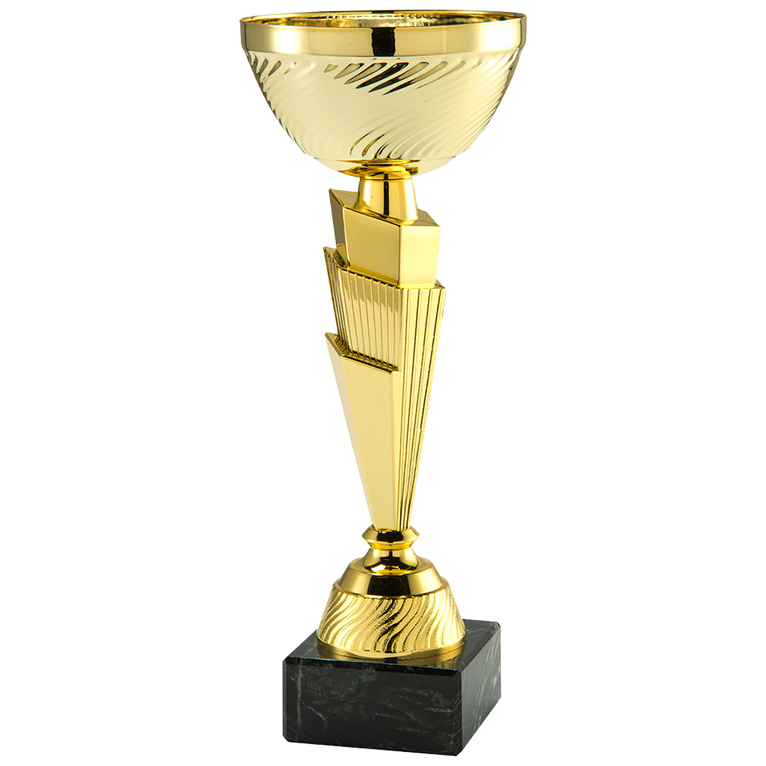 Trofee Haarlem - ET.458.01 - Goud