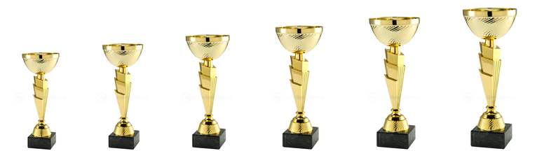 Trofee Haarlem - ET.458.01 - Goud