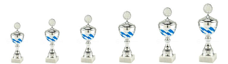 Trofee Hasselt - MT.135 - Zilver / Blauw