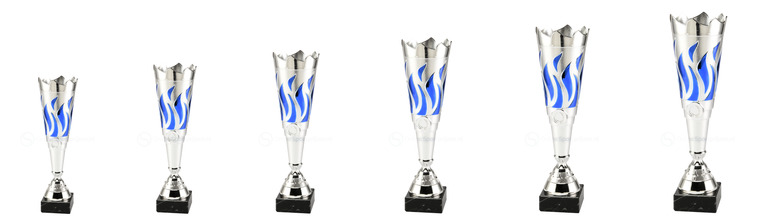 Trofee Hoofddorp - ET.431 - Zilver / Blauw