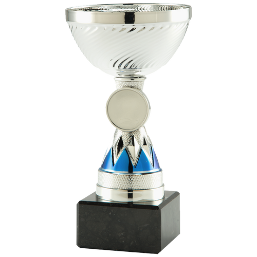 Trofee Hoogeveen - ET.456 - Zilver / Blauw