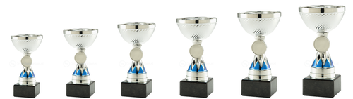 Trofee Hoogeveen - ET.456 - Zilver / Blauw