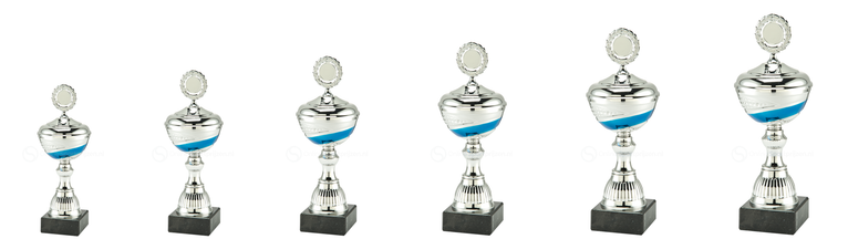 Trofee Kortrijk - MT.133 - Zilver / Blauw