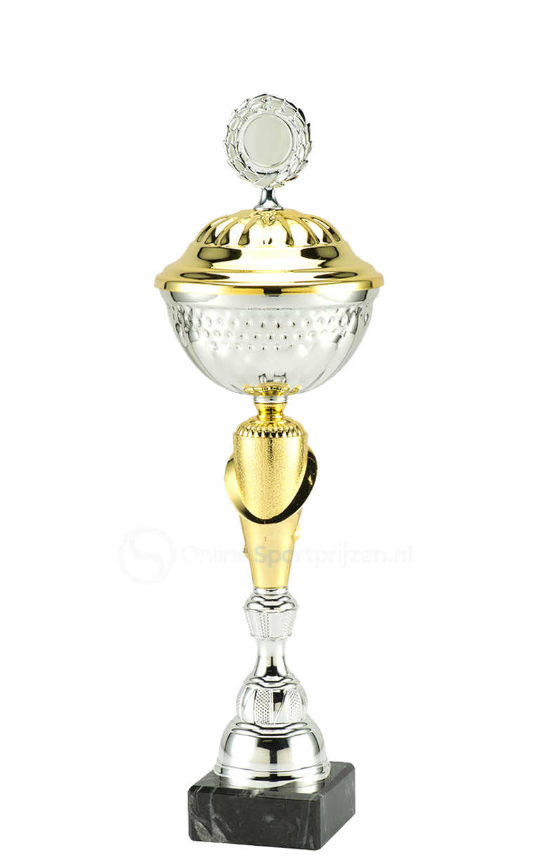 Trofee Mechelen - MT.131 - Zilver / Goud