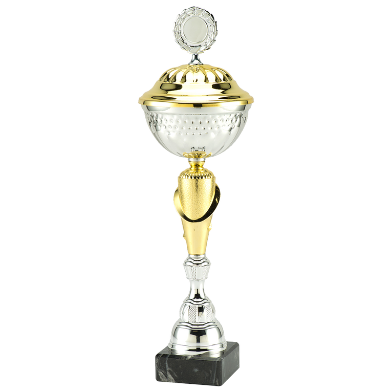 Trofee Mechelen - MT.131 - Zilver / Goud