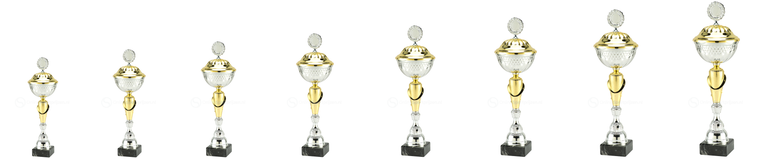 Trofee Mechelen - MT.131 - Zilver / Goud