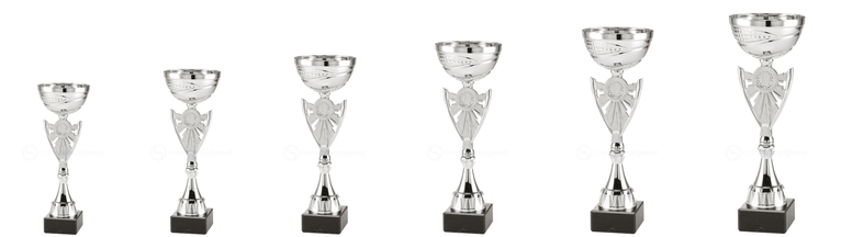 Trofee Nieuwegein - ET.439 - Zilver