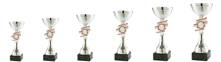 Trofee Nijkerk - ET.463 - Zilver / Rood
