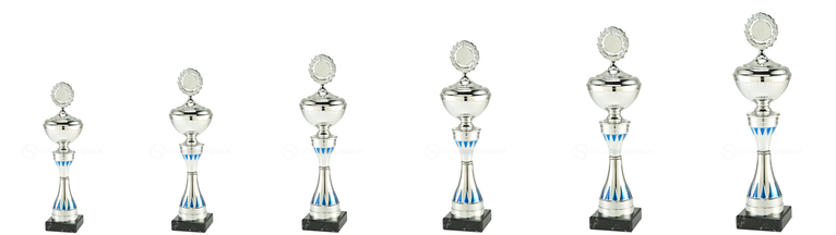 Trofee Oldenzaal - MT.143.04 - Zilver / Blauw