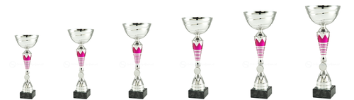 Trofee Oosterhout - ET.454B - Zilver / Roze