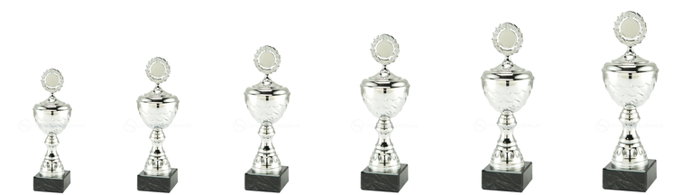 Trofee Roeselare - MT.137.02 - Zilver