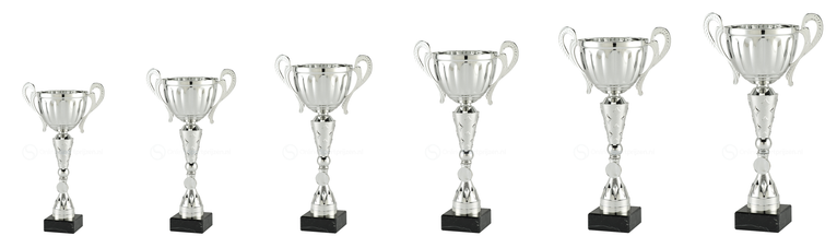 Trofee Seraing - MT.146 - Zilver
