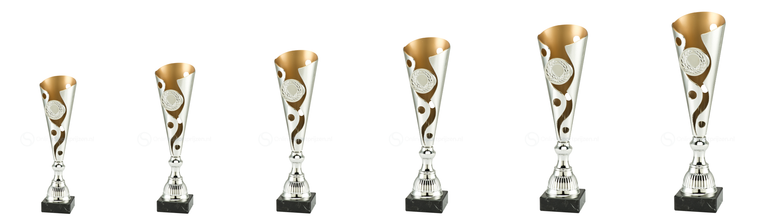 Trofee Sneek - ET.342B - Zilver / Goud