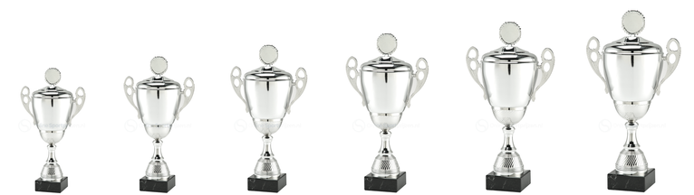 Trofee Spakenburg - LT.088 - Zilver