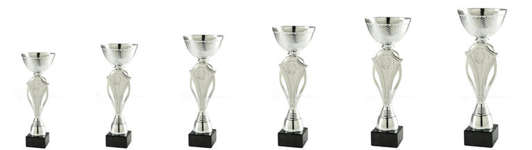 Trofee Terneuzen - ET.461.02 - Zilver