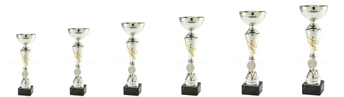 Trofee Wassenaar - ET.464 - Zilver / Goud