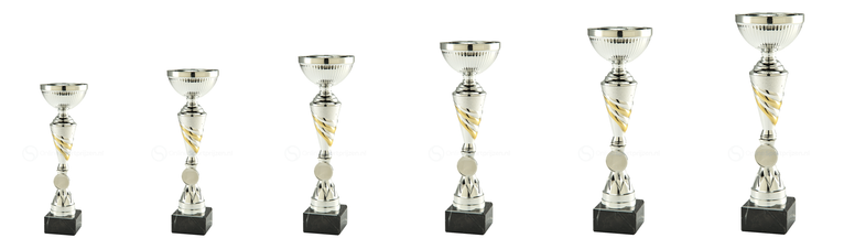 Trofee Wassenaar - ET.464 - Zilver / Goud