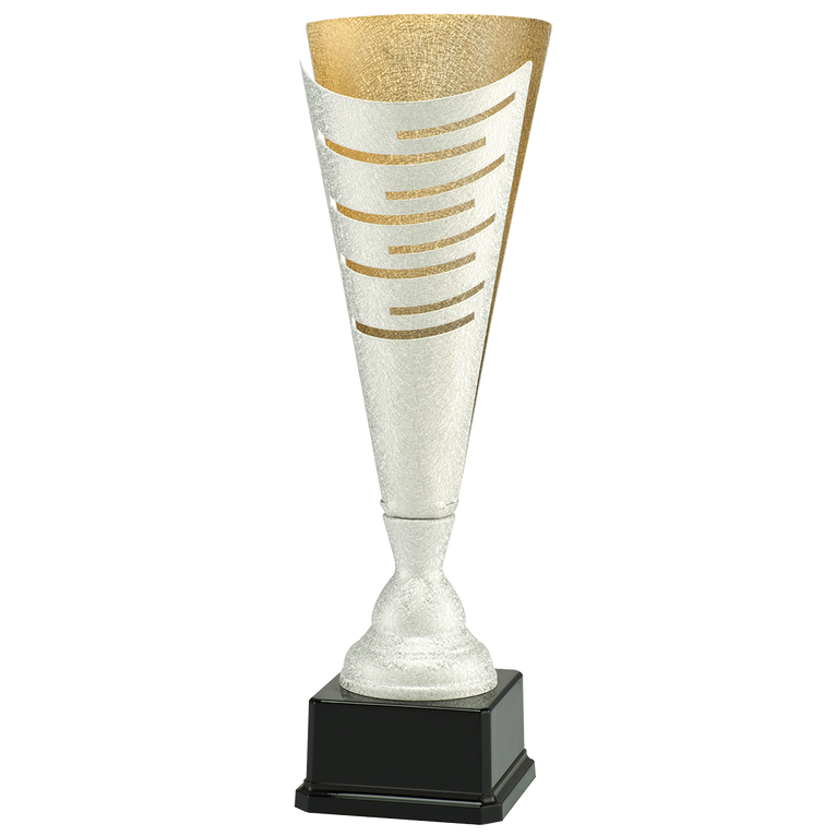 Trofee Winterswijk - LT.082 - Zilver / Goud