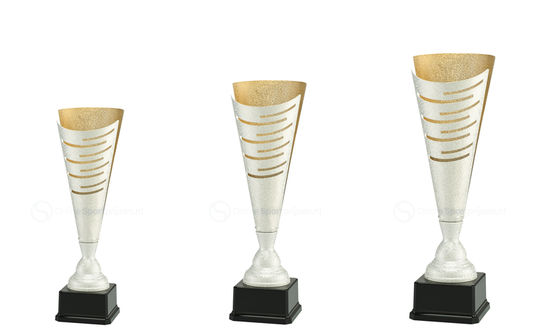 Trofee Winterswijk - LT.082 - Zilver / Goud