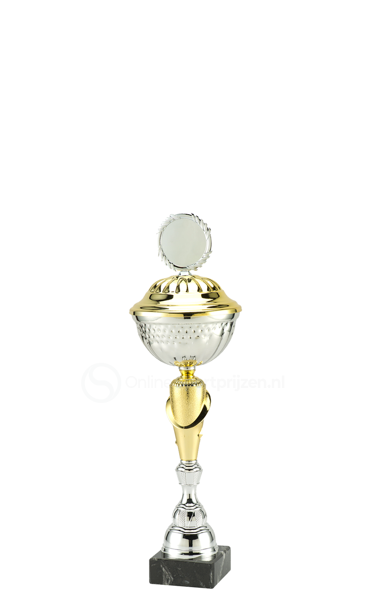 Trofee Aalst - MT.132 - Zilver / Goud