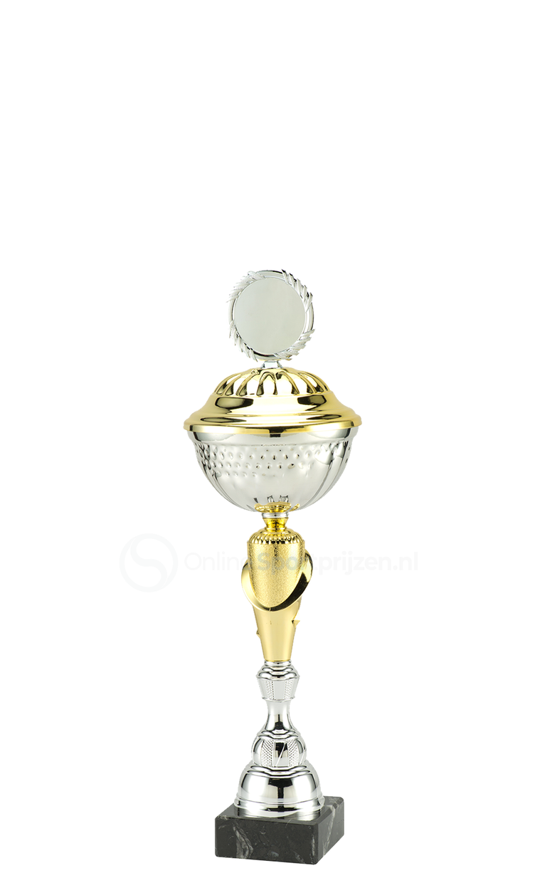 Trofee Aalst - MT.132 - Zilver / Goud