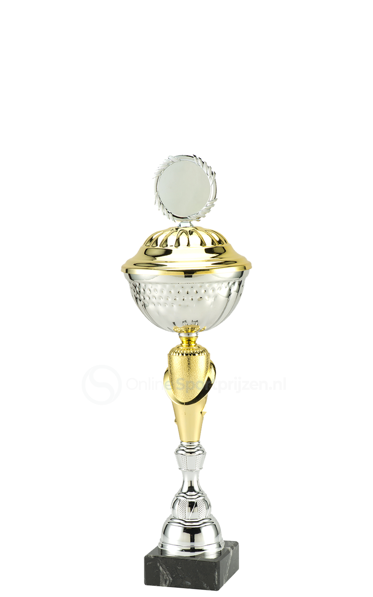 Trofee Aalst - MT.132 - Zilver / Goud