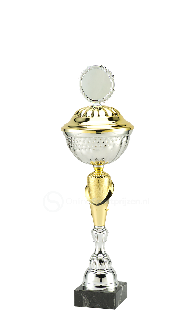 Trofee Aalst - MT.132 - Zilver / Goud