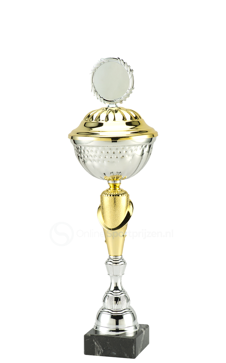 Trofee Aalst - MT.132 - Zilver / Goud