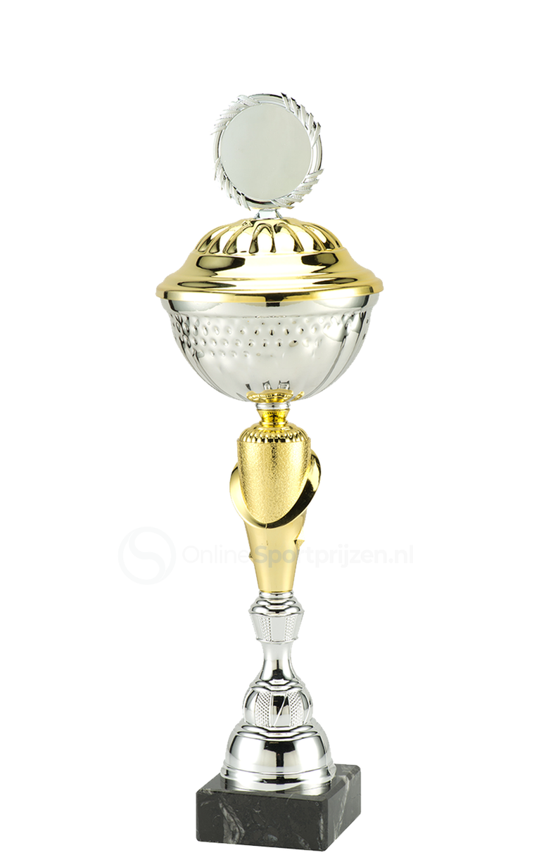 Trofee Aalst - MT.132 - Zilver / Goud