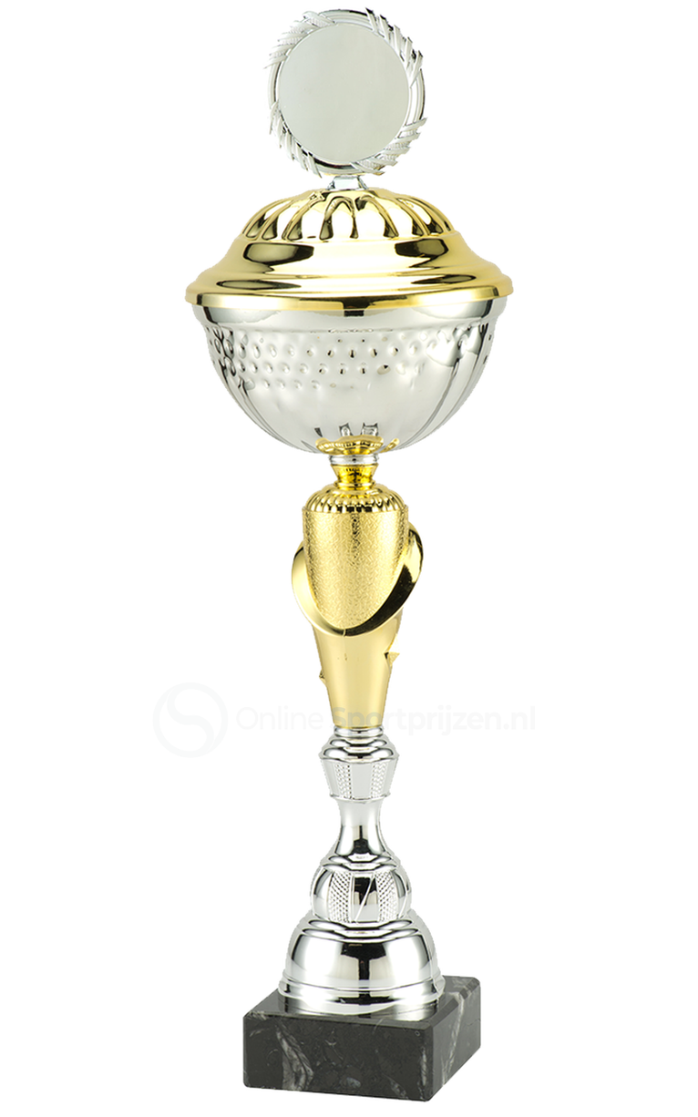 Trofee Aalst - MT.132 - Zilver / Goud