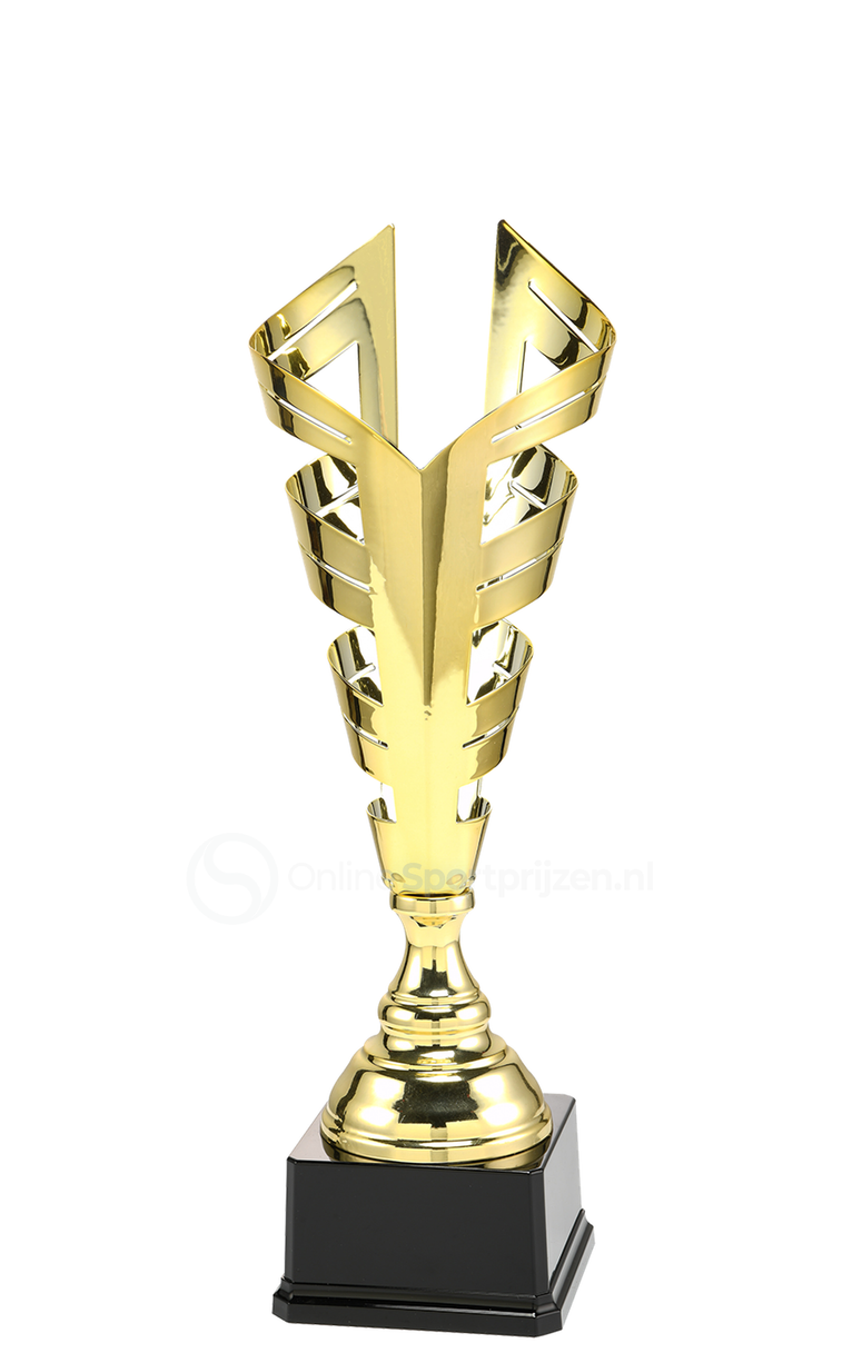 Trofee Amerongen - LT.076 - Goud