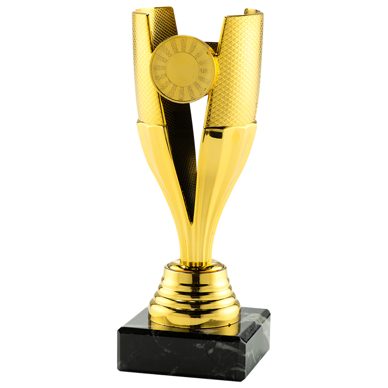 Trofee Amerongen - SET.352 - Goud, Zilver en Brons