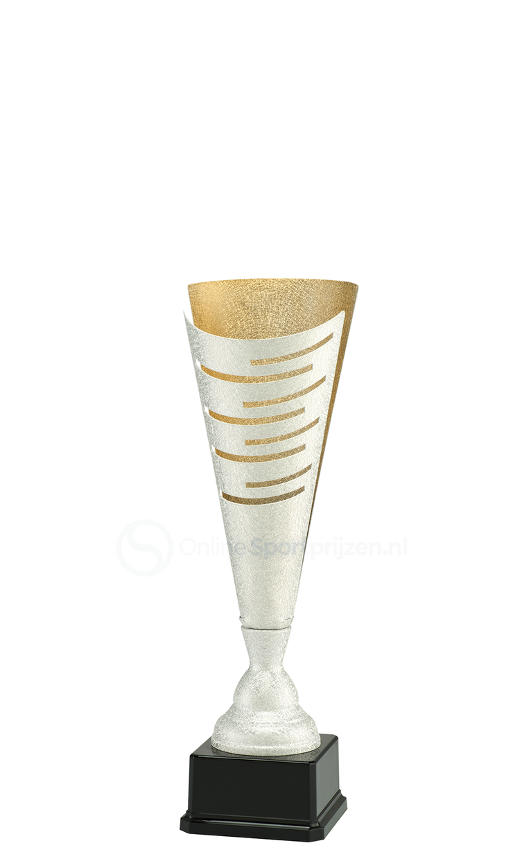 Trofee Winterswijk - LT.082 - Zilver / Goud