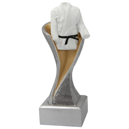Vechtsport Prijs - FG4050 - Zilver met Kleuraccent