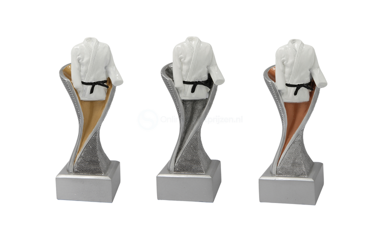 Vechtsport Prijs - FG4050 - Zilver met Kleuraccent