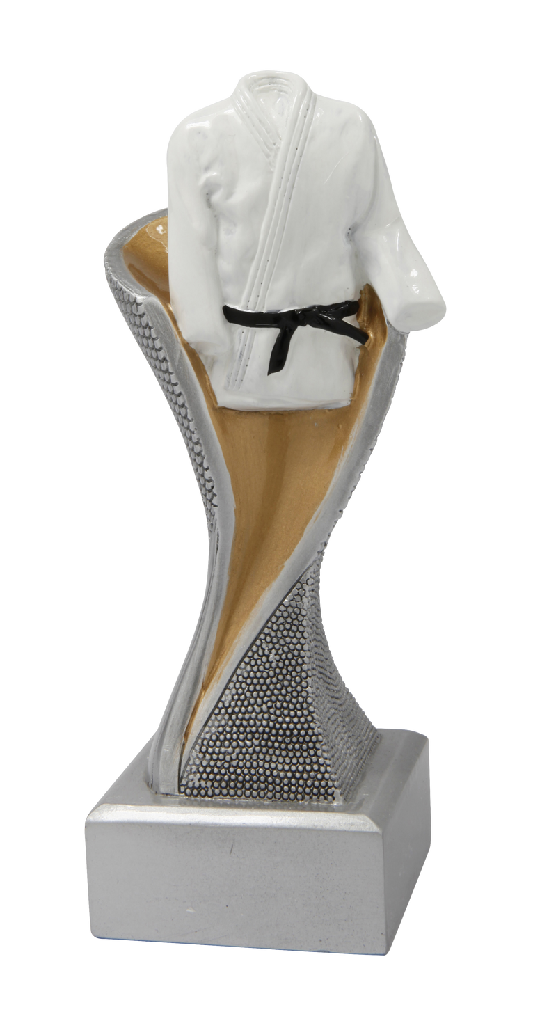 Vechtsport Prijs - FG4050 - Zilver met Kleuraccent