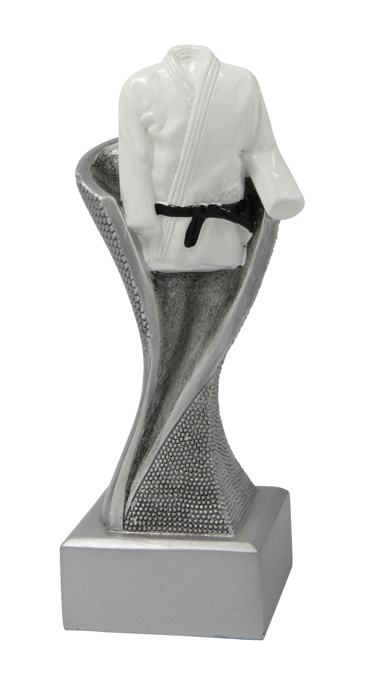 Vechtsport Prijs - FG4050 - Zilver met Kleuraccent