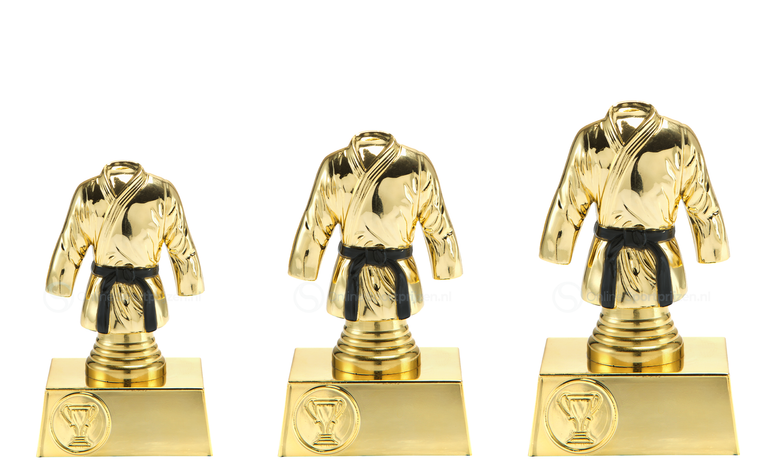 Vechtsportprijs - ST.024 - Goud