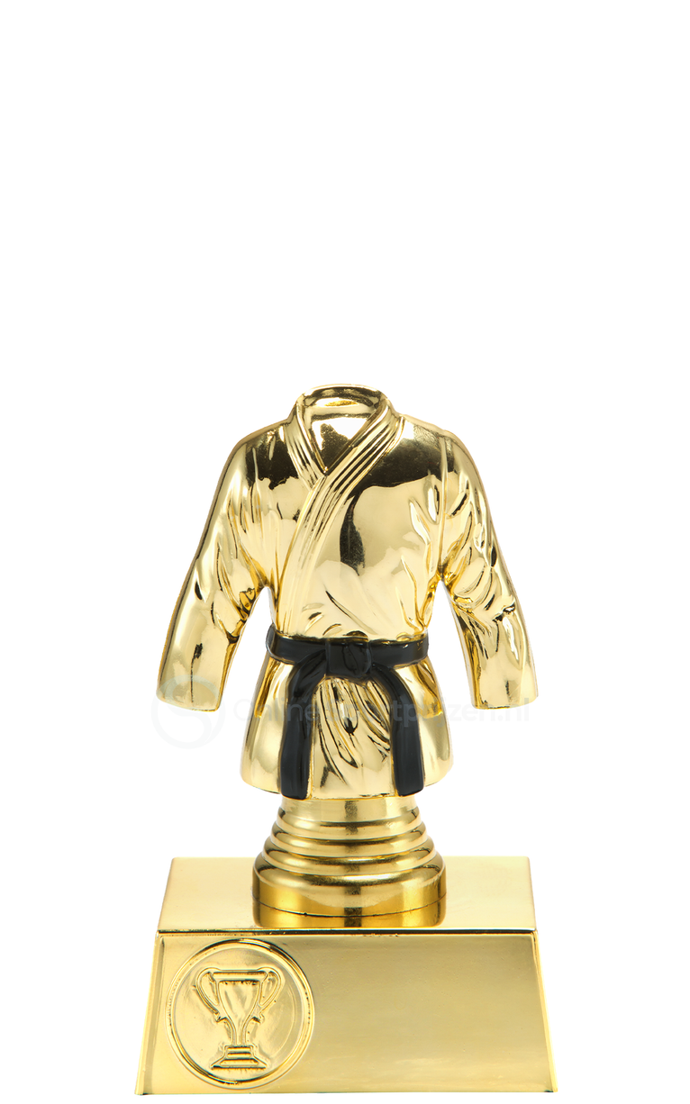 Vechtsportprijs - ST.024 - Goud