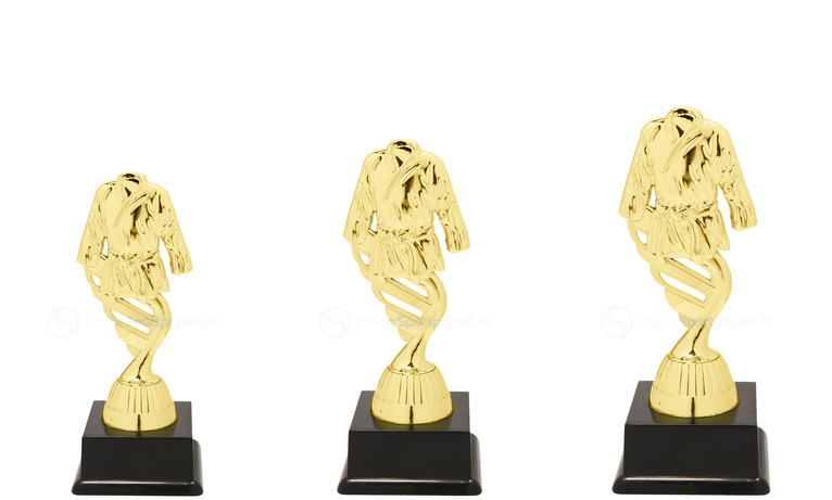 Vechtsporttrofee - SS1710 - Goud