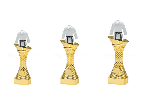 Vechtsporttrofee - ST.041 - Goud