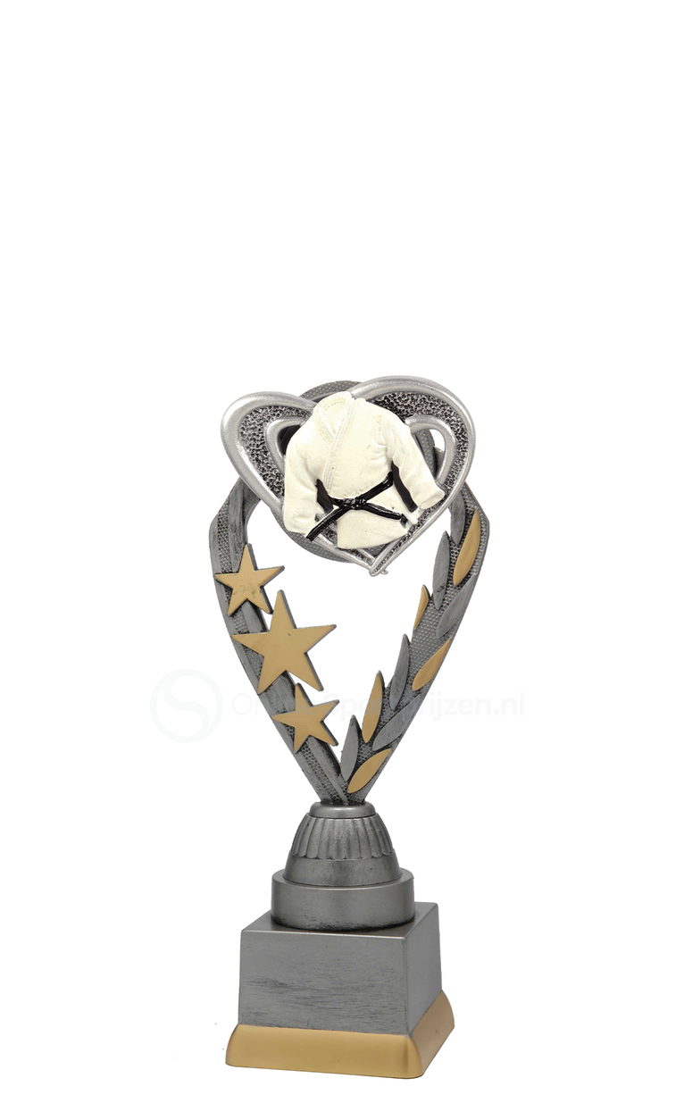 Vechtsporttrofee - PFS.006 - Antiek Zilver met Kleuraccent