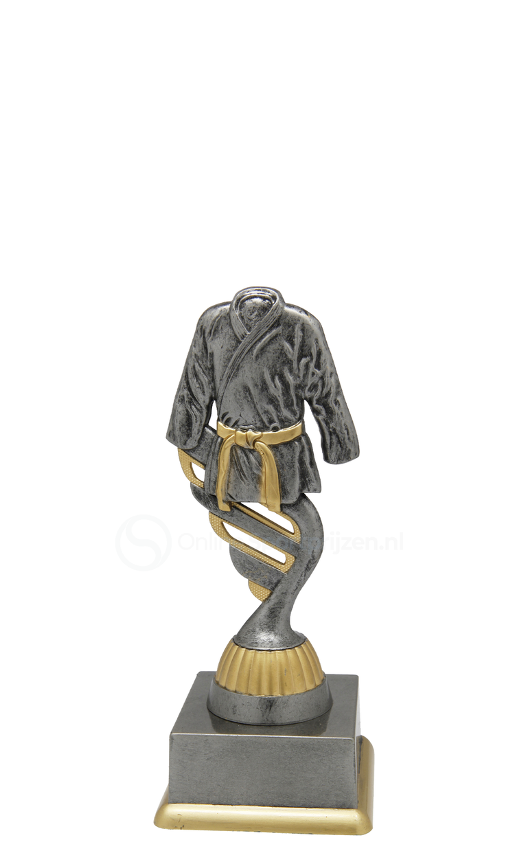 Vechtsporttrofee - SS1730 - Antiek Zilver / Goud